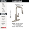 19868LF-SS Nicoli 11.06-in x 10.75-in x 15.75-in Single-Handle Pull-Down Kitchen Faucet, Stainless