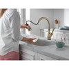 9178TV-CZ-DST Leland 11.88-in x 10.75-in x 15.38-in VoiceIQ Single-Handle Pull-Down Faucet with Touch20 Technology, Champagne Bronze
