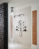 SHOWERHEAD 81335-BL