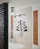 SHOWERHEAD 81335-BL