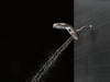 SHOWERHEAD 58580-SS-PK