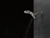 SHOWERHEAD 58580-SS-PK