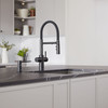 Catris 442992-443275 19.12-in H Pull Down Sprayer Kitchen Faucet with 360 Degree Spout Swivel and Filter in Matte Black