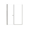 Lyna 53-in x 70-in Pivot Shower Door And Fixed Panel With 1/4-in Clear Glass And Double-Sided Knob Handles, Brushed Stainless
