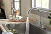 Peerless Elmhurst(R): Two-Handle Kitchen Faucet with Twist Aerator