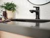 Peerless Flute(TM): Single Top Handle Lavatory Faucet