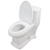 1-Piece Elongated Vitreous China 1.28 gpf Toilet with toilet seat, White