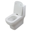 1-Piece Elongated Vitreous China Dual Flush 1.28/0.8 gpf Toilet with toilet seat, White 1-Piece Elongated Vitreous China Dual Flush 1.28/0.8 gpf Toilet with toilet seat, White