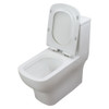 1-Piece Elongated Vitreous China Dual Flush 1.28/0.8 gpf Toilet with toilet seat, White 1-Piece Elongated Vitreous China Dual Flush 1.28/0.8 gpf Toilet with toilet seat, White