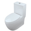 Transolid TBTS-2420-01 Pierce 1-Piece Elongated Vitreous China Dual Flush 1.28/0.8 gpf Toilet with toilet seat, White