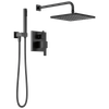 Delta Modern: Monitor(R) 14 Series Shower with Raincan & Hand Shower