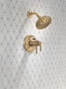 Delta Broderick(R): 17T Series Shower Trim