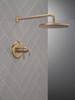 Delta Bonacci(TM): 17T Series Shower Trim