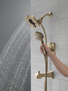 Delta Ashlyn(R): Monitor(R) 17 Series Shower Trim with In2ition(R) Two-in-One Shower