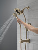 Delta Ashlyn(R): Monitor(R) 17 Series Shower Trim with In2ition(R) Two-in-One Shower