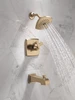 Delta Ashlyn(R): Monitor(R) 17 Series Tub and Shower Trim