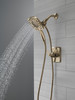 Delta Ashlyn(R): Monitor(R) 17 Series Shower Trim with In2ition(R) Two-in-One Shower