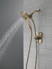 Delta Ashlyn(R): Monitor(R) 17 Series Shower Trim with In2ition(R) Two-in-One Shower
