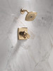 Delta Ashlyn(R): Monitor(R) 17 Series Shower Trim