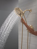 Delta Bonacci(TM): 17 Series Shower Trim with In2ition Shower Head
