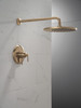 Delta Bonacci(TM): 17 Series Shower Trim