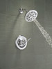 Delta Roe(TM): Monitor(R) 14 Series Shower Only
