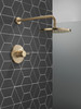 Delta Modern: Monitor 14 Series Shower Trim