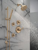 Delta Bonacci(TM): 14 Series Shower Trim