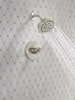 Delta Altado(TM): Monitor 14 Series Shower Trim