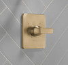 Delta Velum(TM): Monitor 14 Series Valve Only Trim