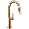 Delta Cordova(TM): Single Handle Pull-Down Bar/Prep Faucet