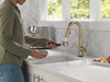 Delta Essa(R): Touch2O(R) Bar / Prep Faucet with Touchless Technology