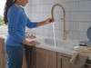 Delta Cordova(TM): Single Handle Pull-Down Kitchen Faucet With Spring Spout