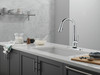 Delta Essa(R): Touch<sub>2</sub>O(R) Technology Kitchen Faucet with Touchless Technology
