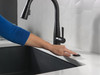 Delta No Brand Other: Air Switch with Dual Outlet