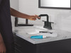 Delta Nicoli(R): Two Handle Centerset Pull-Down Bathroom Faucet