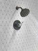 Delta Nicoli(R): Monitor(R) 14 Series H2Okinetic(R) Shower
