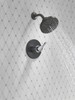 Delta Nicoli(R): Monitor(R) 14 Series H2Okinetic(R) Shower