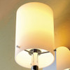 Cased Opal / Satin Etched Light Shade
