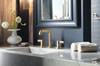 Brizo Litze(R): Widespread Lavatory Extended Lever Handle Kit