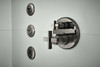 Brizo Other: Hydrachoice Max(R) Round Body Spray Trim