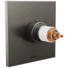 Brizo Frank Lloyd Wright(R): TempAssure(R) Thermostatic Valve Only Trim - Less Handles