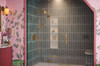 Brizo Other: Chromatherapy System