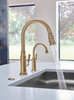 Brizo No Brand Other: Air Switch with Dual Outlet