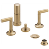Brizo Odin(R): Bidet