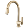 Brizo Frank Lloyd Wright(R): Pull-Down Kitchen Faucet with Arc Spout - Less Handle