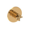 Newport Brass Kimbell: 3/4" Round Thermostatic Trim Plate with Handle