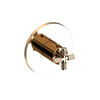 Newport Brass Kimbell: 3/4" Round Thermostatic Trim Plate with Handle