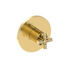 Newport Brass Kimbell: 3/4" Round Thermostatic Trim Plate with Handle
