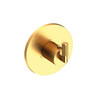 Newport Brass Kimbell: 3/4" Round Thermostatic Trim Plate with Handle
